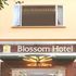 Blossom
