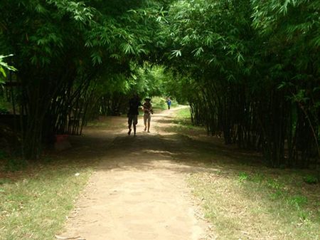 Đường vào địa đạo Vịnh Mốc