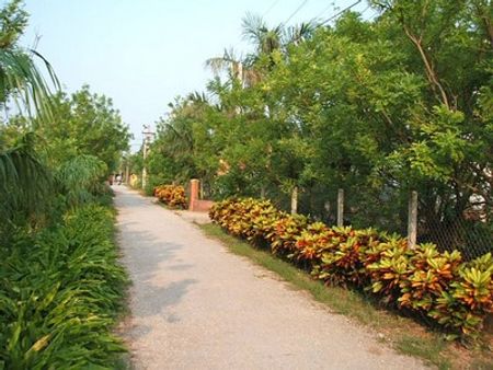 Làng vườn Bách Thuận