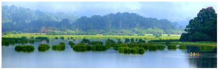 Khung cảnh Bàu Sấu