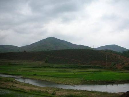 Tinh sương Yên Châu