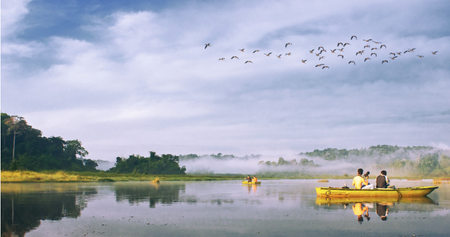 Buổi sáng ở Cát Tiên