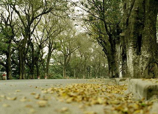 Hà Nội mùa đông