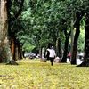 Hà Nội mùa thu