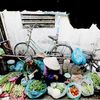 Tp Hồ Chí Minh