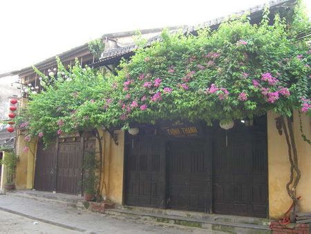 Những ngôi nhà mang vẻ thâm niên với dàn hoa rủ xuống từ mái ngói đã úa màu làm nên một Hội An cổ kính và nên thơ.