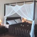 Khách sạn Chàm Villas