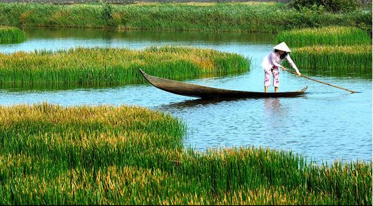 Bơi xuồng