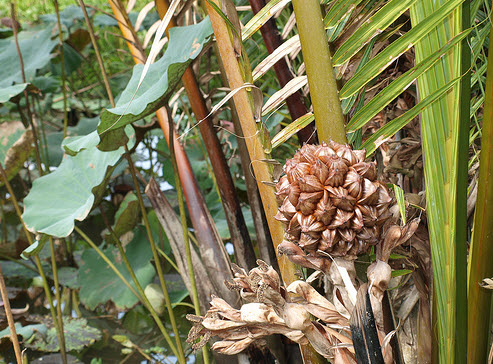 IMG_0310copy IMG_0310copy