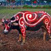 Lễ hội tịch điền Đọi Sơn