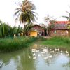 Miền quê