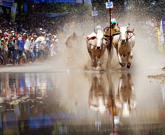 An Giang mùa lễ hội