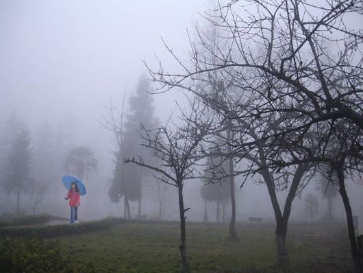 Sapa trong sương mù