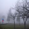Sapa trong sương mù