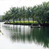 sông Cổ Cò