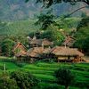 Thung lũng Mai Châu