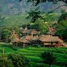 Thung lũng Mai Châu