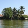 Bên Bờ Sông Vàm Cỏ Tây