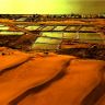 Cồn cát Phan Thiết