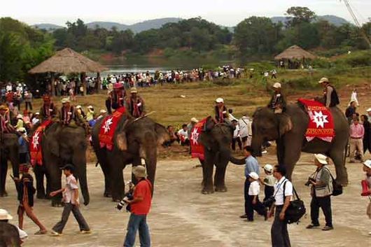 Hội đua voi
