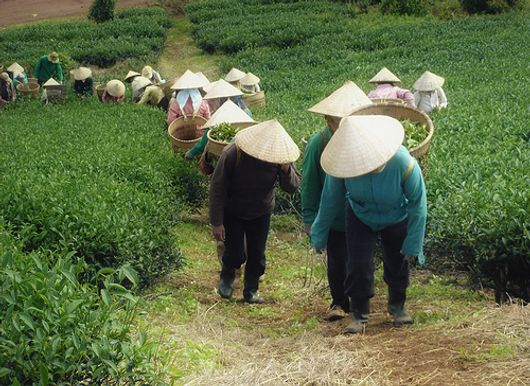 Lên đồi