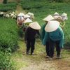 Lên đồi