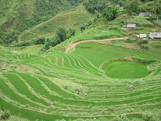 Ruộng bậc thang, thung lũng Mường Hoa