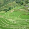 Ruộng bậc thang, thung lũng Mường Hoa