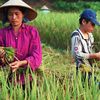 Sắc màu vụ mới