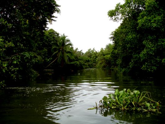 Vườn trái cây Lái Thiêu