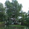 Sống ven sông và nghề hạ bạc