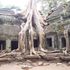 Đền Ta Prohm