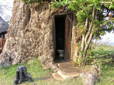 Bao báp tại Kayila Lodge, Zambia bị biến thành WC