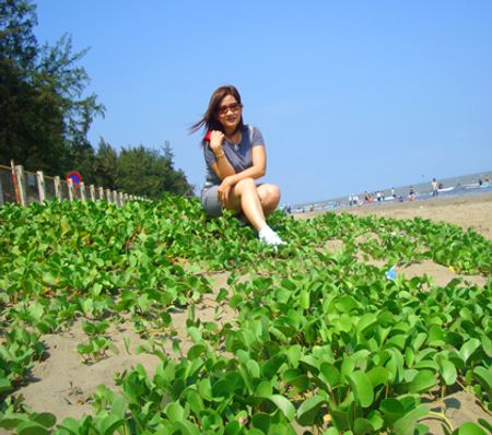 Hoa muống biển đây, nhưng không thấy chuyện tình nào đáng kể...