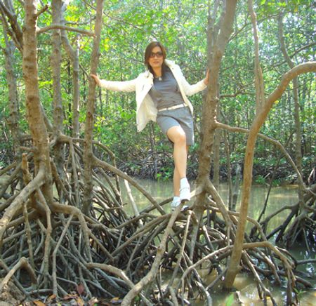 Vô Đảo Khỉ, bộ cũng muốn làm khỉ hay sao...