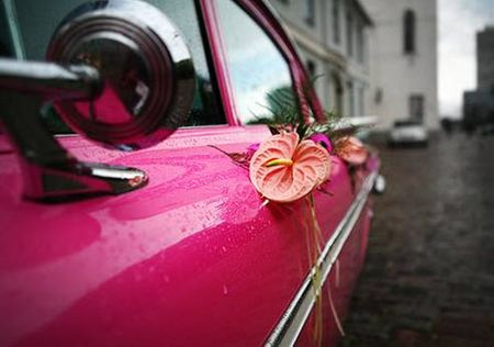 Xe hơi, phương tiện khá phổ biến ở Latvia