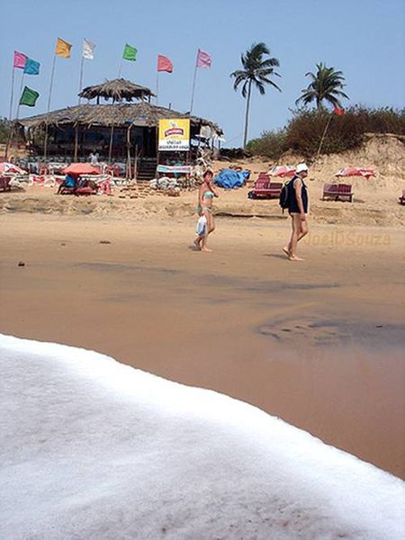 Bờ biển Candolim ở Goa