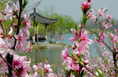Tây Hồ