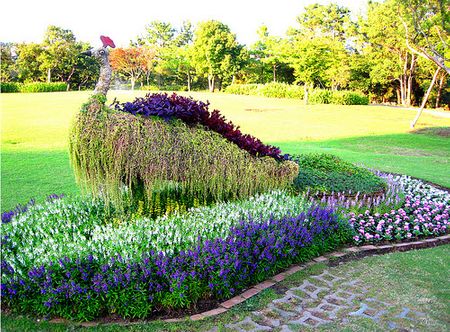 Vườn thảo mộc Jeju