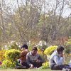 Bốn mùa Delhi