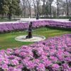 Công viên Parque del Buen Retiro