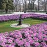 Công viên Parque del Buen Retiro