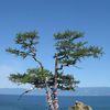 Hồ Baikan, Nga, hồ lâu đời nhất thế giới