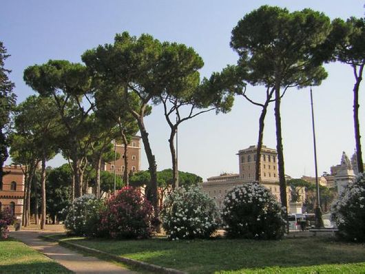 Piazza Ara Coeli 