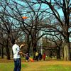 Công viên Yoyogi 
