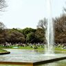 Công viên Yoyogi 