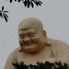 Đài Trung