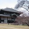 Đền Todaiji 