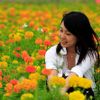 Mùa xuân Đài Nam