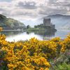 Scotland